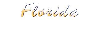 Florida Election Watch-Logo